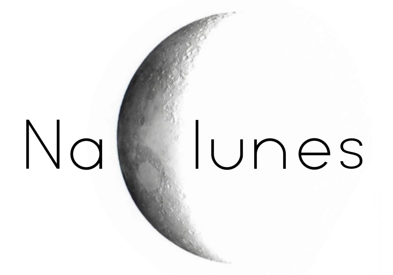 logo nalunes